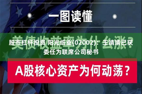 股市杠杆投资 阳光纸业(02002)：王靖靖已获委任为联席公司秘书