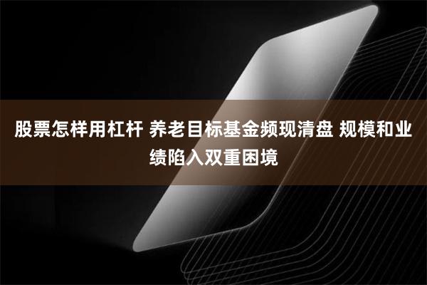 股票怎样用杠杆 养老目标基金频现清盘 规模和业绩陷入双重困境