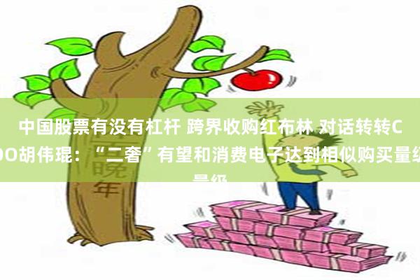 中国股票有没有杠杆 跨界收购红布林 对话转转COO胡伟琨：“二奢”有望和消费电子达到相似购买量级