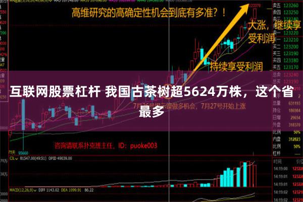 互联网股票杠杆 我国古茶树超5624万株，这个省最多