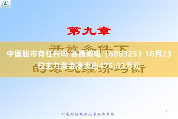 中国股市有杠杆吗 赛微微电（688325）10月23日主力资金净卖出475.63万元