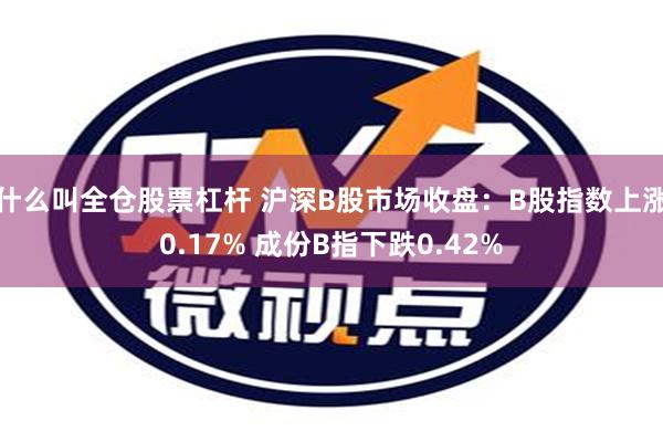 什么叫全仓股票杠杆 沪深B股市场收盘：B股指数上涨0.17% 成份B指下跌0.42%