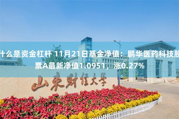 什么是资金杠杆 11月21日基金净值：鹏华医药科技股票A最新净值1.0951，涨0.27%