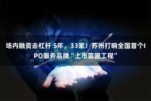 场内融资去杠杆 5年，33家！苏州打响全国首个IPO服务品牌“上市苗圃工程”